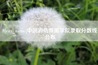 阳泉中国消防救援学院录取分数线公布