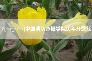 阳泉中国消防救援学院历年分数线