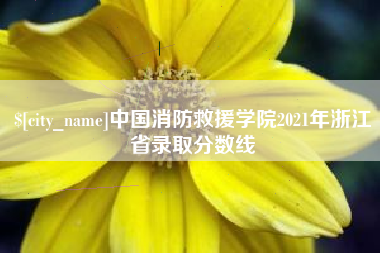阳泉中国消防救援学院2021年浙江省录取分数线