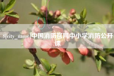 阳泉中国消防官网中小学消防公开课