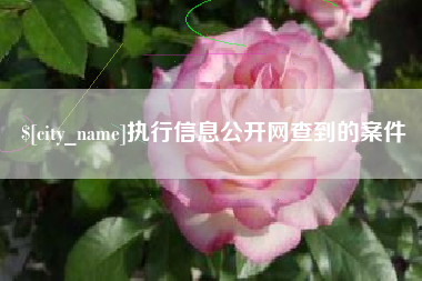 阳泉执行信息公开网查到的案件