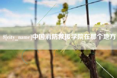 阳泉中国消防救援学院在那个地方