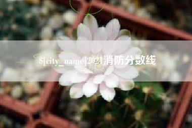 阳泉2021消防分数线