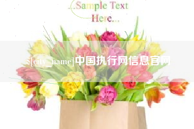 阳泉中国执行网信息官网