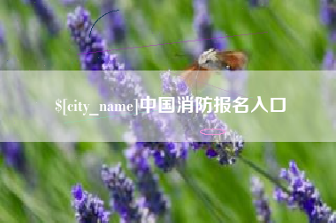 阳泉中国消防报名入口