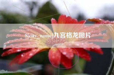 阳泉九宫格龙图片