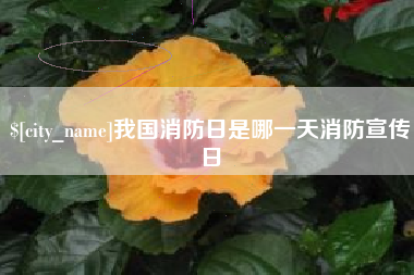 阳泉我国消防日是哪一天消防宣传日
