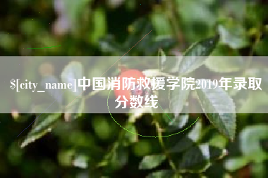阳泉中国消防救援学院2019年录取分数线