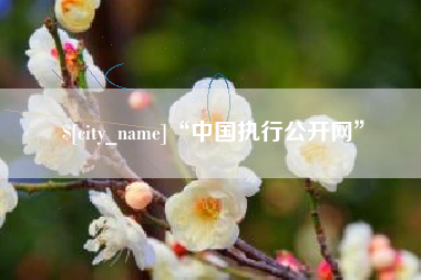 阳泉“中国执行公开网”
