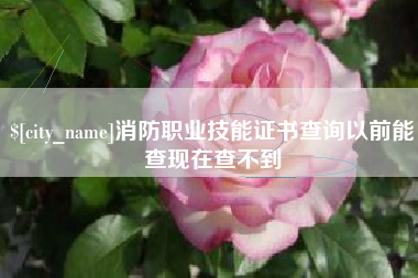 阳泉消防职业技能证书查询以前能查现在查不到
