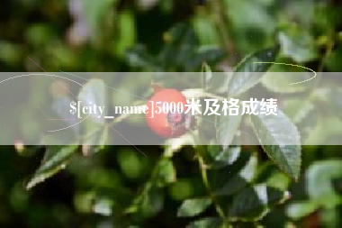 阳泉5000米及格成绩