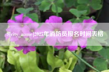 阳泉2025年消防员报名时间表格