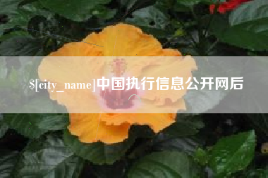 阳泉中国执行信息公开网后