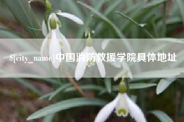 阳泉中国消防救援学院具体地址