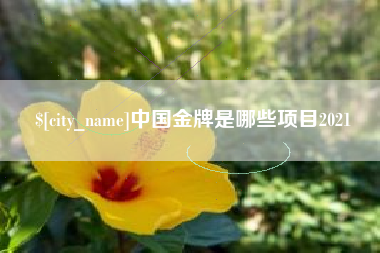 阳泉中国金牌是哪些项目2021