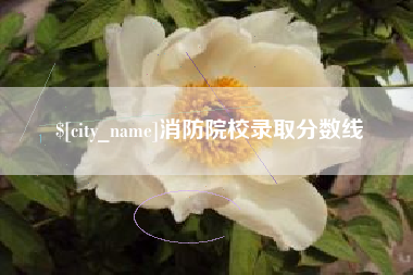 阳泉消防院校录取分数线