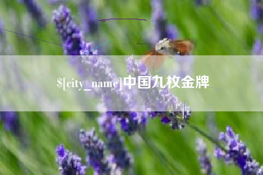 阳泉中国九枚金牌
