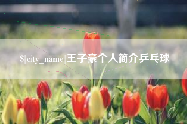 阳泉王子豪个人简介乒乓球