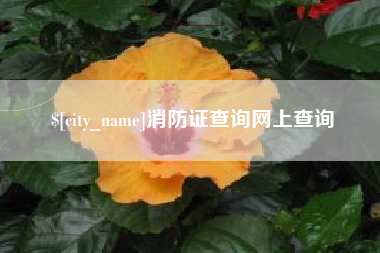 阳泉消防证查询网上查询