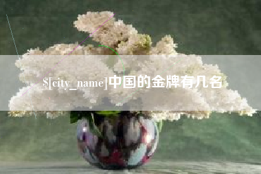 阳泉中国的金牌有几名