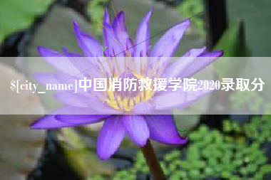 阳泉中国消防救援学院2020录取分