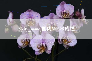 阳泉国内5000米成绩