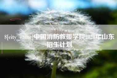 阳泉中国消防救援学院2021年山东招生计划