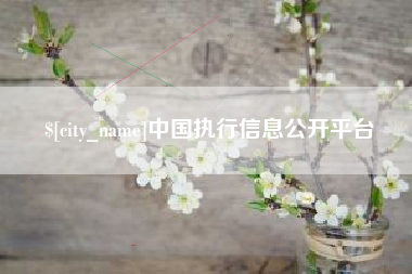 阳泉中国执行信息公开平台