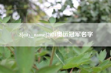 阳泉2024奥运冠军名字