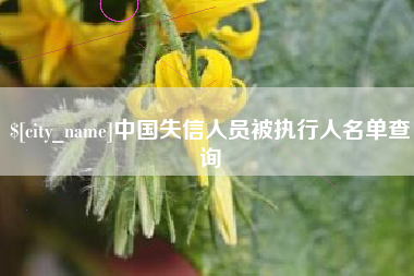 阳泉中国失信人员被执行人名单查询