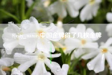 阳泉中国金牌得了几枚金牌