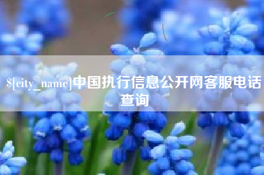 阳泉中国执行信息公开网客服电话查询