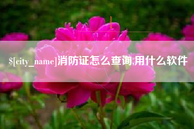阳泉消防证怎么查询,用什么软件