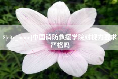阳泉中国消防救援学院对视力要求严格吗