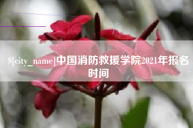 阳泉中国消防救援学院2021年报名时间