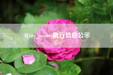 阳泉执行信息公示
