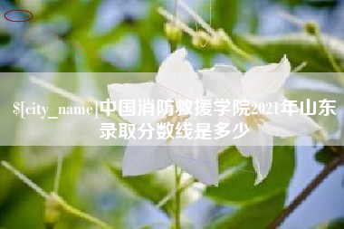 阳泉中国消防救援学院2021年山东录取分数线是多少