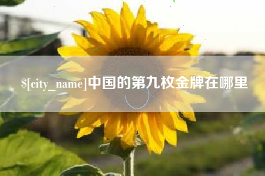 阳泉中国的第九枚金牌在哪里