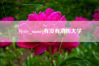 阳泉有没有消防大学