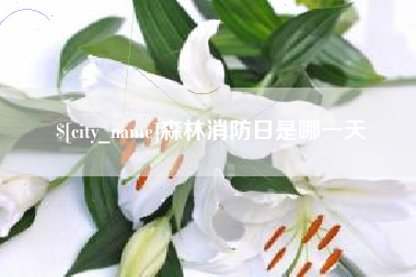 阳泉森林消防日是哪一天