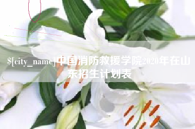 阳泉中国消防救援学院2020年在山东招生计划表