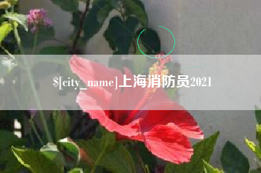 阳泉上海消防员2021