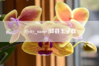 阳泉邱县王子磊
