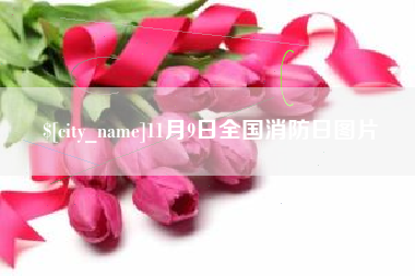 阳泉11月9日全国消防日图片