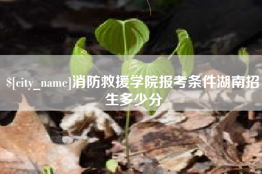 阳泉消防救援学院报考条件湖南招生多少分