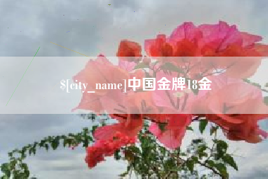 阳泉中国金牌18金