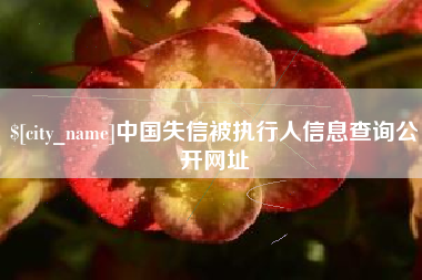 阳泉中国失信被执行人信息查询公开网址