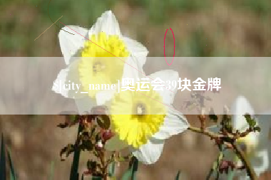 阳泉奥运会39块金牌