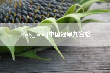 阳泉中国冠军九宫格