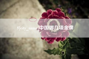 阳泉中国哪几项金牌